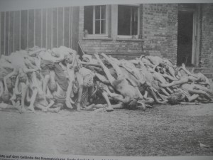 Lagarul de la Dachau - cadavre foto