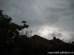 nori rusalii peste sat3