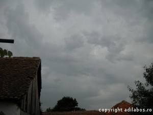 nori rusalii peste sat4