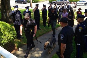 salut ciobănesc german