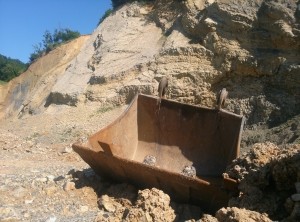 balastiera imagini (6)