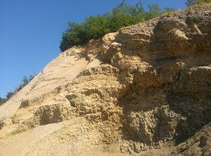 balastiera imagini (8)
