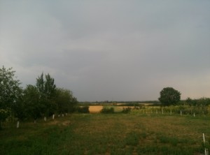 nori peste sat