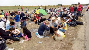 refugiati sirieni pe camp in Ungaria