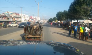 carute Antananarivo2