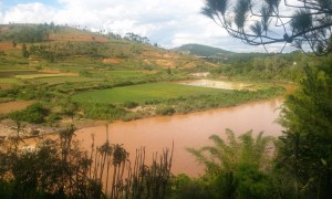 rau rosu Madagascar1