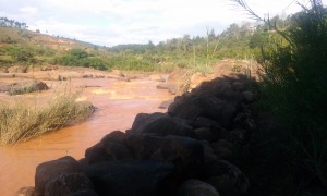 rau rosu Madagascar4