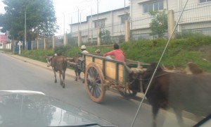 carute Antananarivo3
