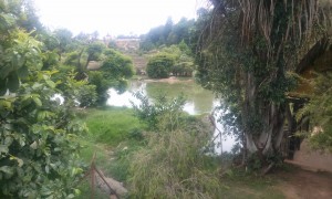 natura in Ferma cu crocodili in Madagascar