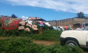 rufe la uscat Antananarivo Madagascar 2