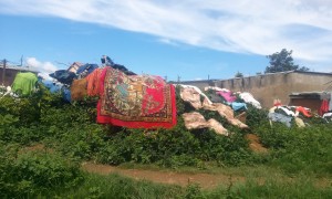 rufe la uscat Antananarivo Madagascar 1