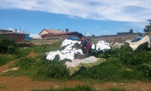 rufe la uscat Antananarivo Madagascar 3