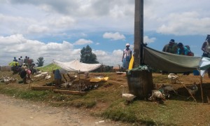 animale vandute la margine de drum Antananarivo Madagascar