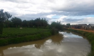 rau pe langa sat Madagascar