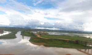 campuri cu orez in Madagascar