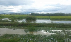 apa pe campuri sezon ploios Madagascar