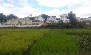 orez si case Antananarivo