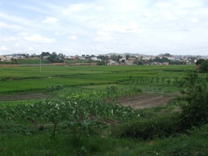 porumb orez Antananarivo