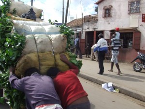 carute Antananarivo6