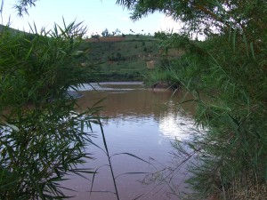 rau in Madagascar2