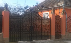 porţi 2 Batar (5)
