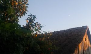 luna si casa (1)