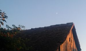 luna si casa (3)