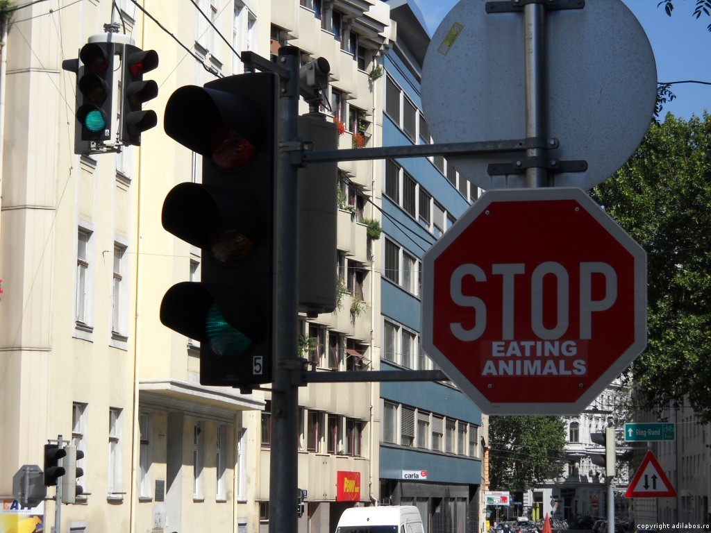 stop eating animals Viena