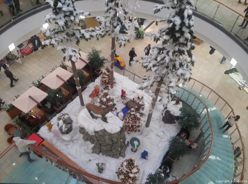 forum Debretin2