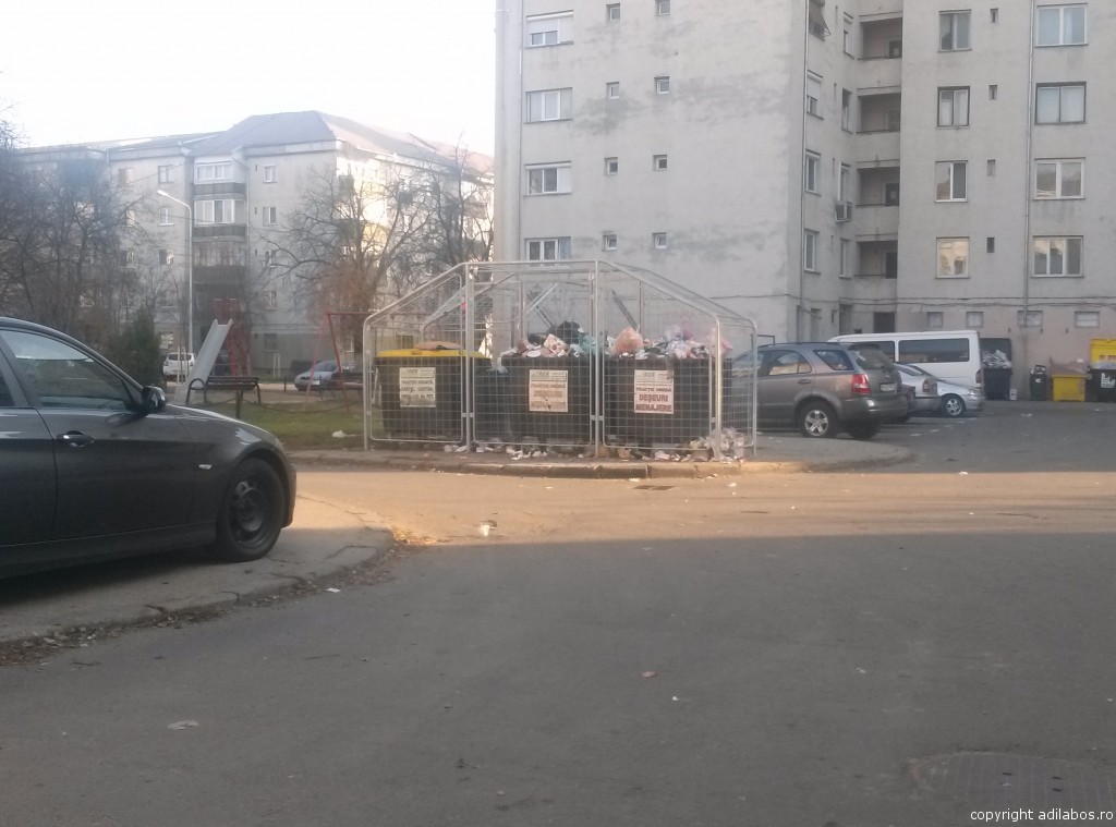gunoi in curtea blocului4