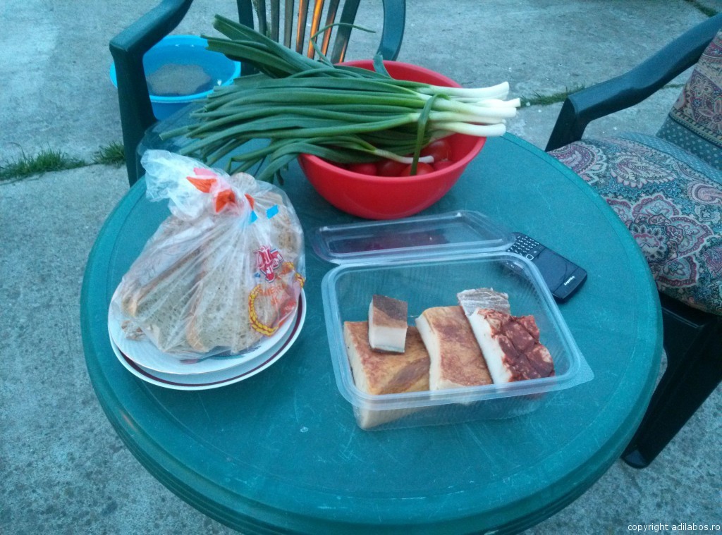 foc de slanina7