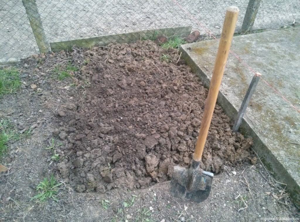 gradina sapata partial3