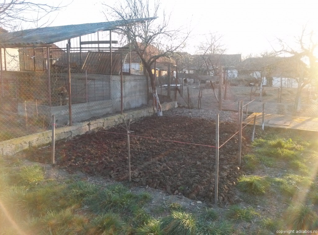 gradina sapata1
