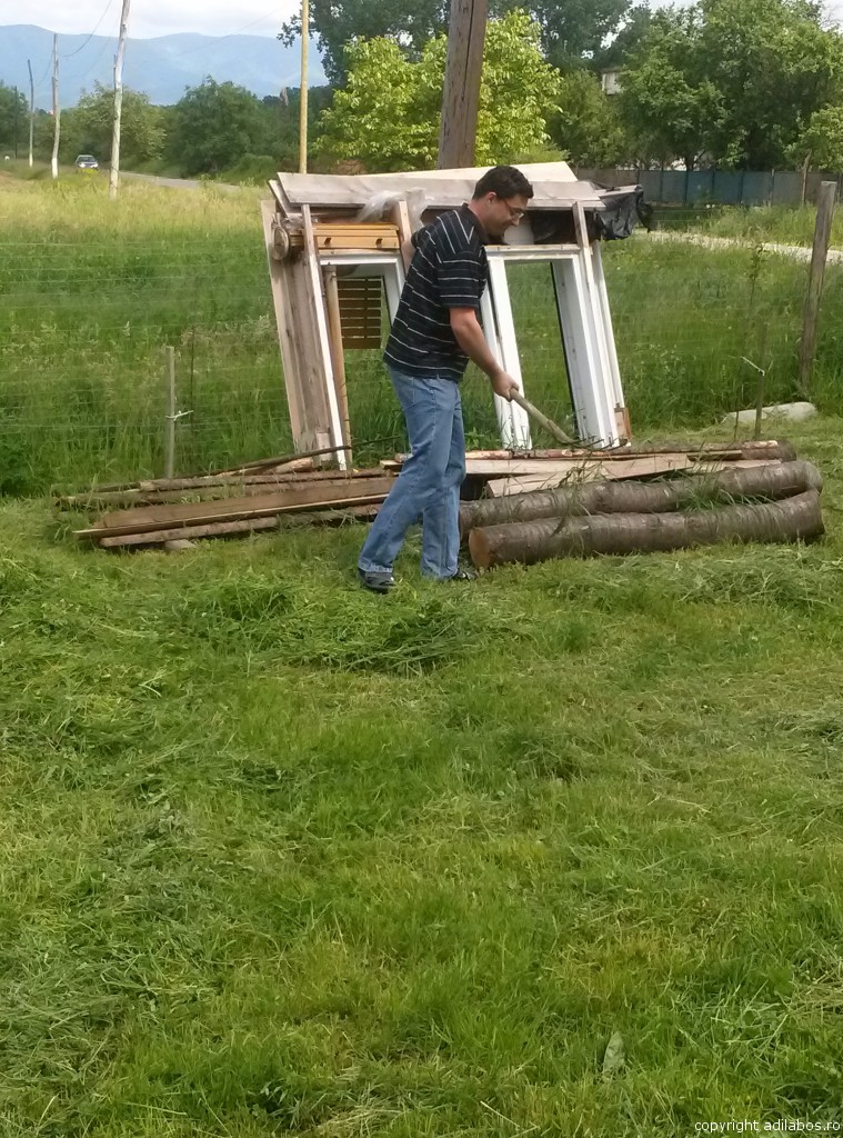 fratelo1