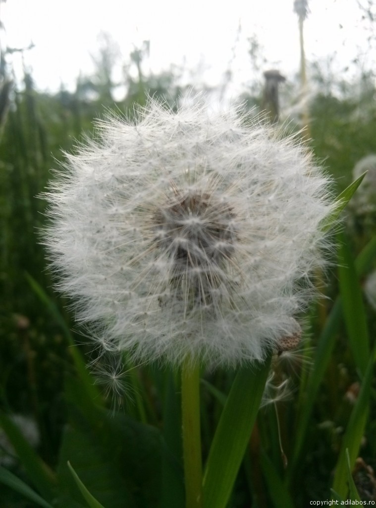 natura3