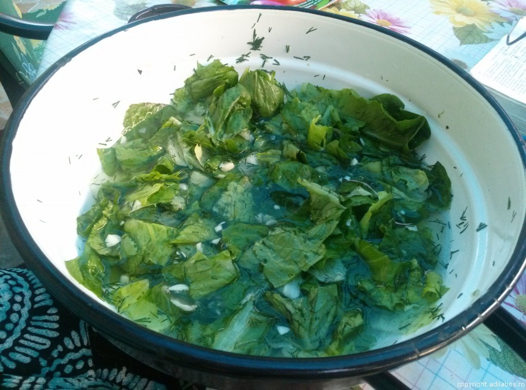 salata