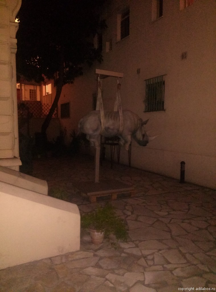 hipopotam suspendat în Nisa