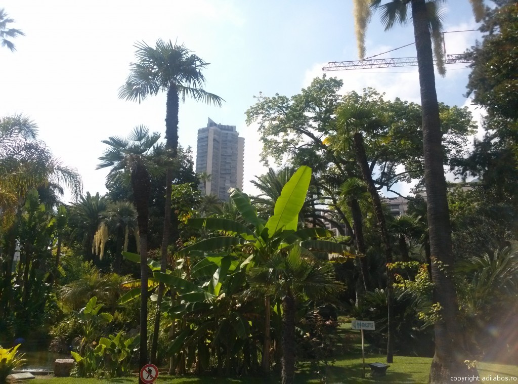 parc Monte Carlo