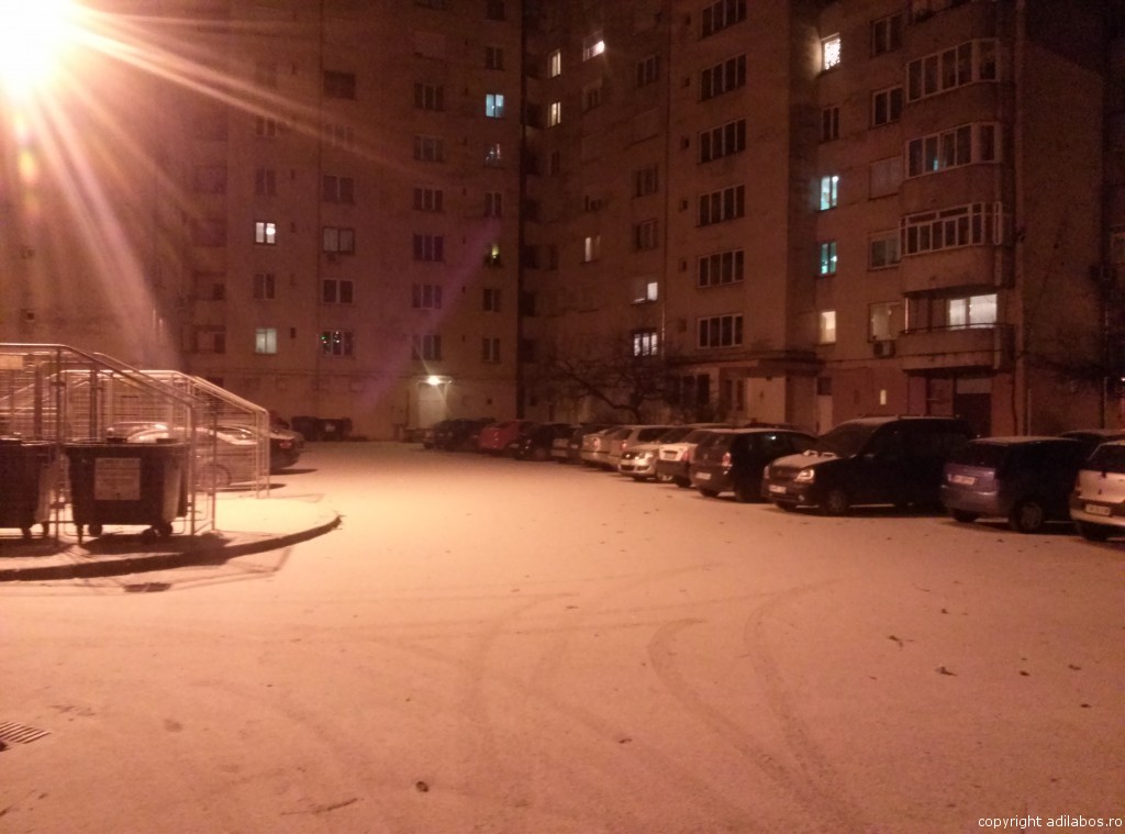 ninge pe 2 ianuarie 2015 (1)