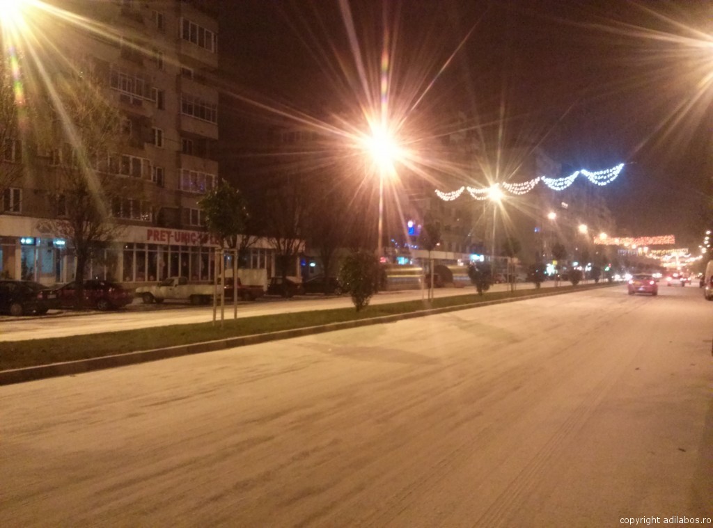 ninge pe 2 ianuarie 2015 (2)