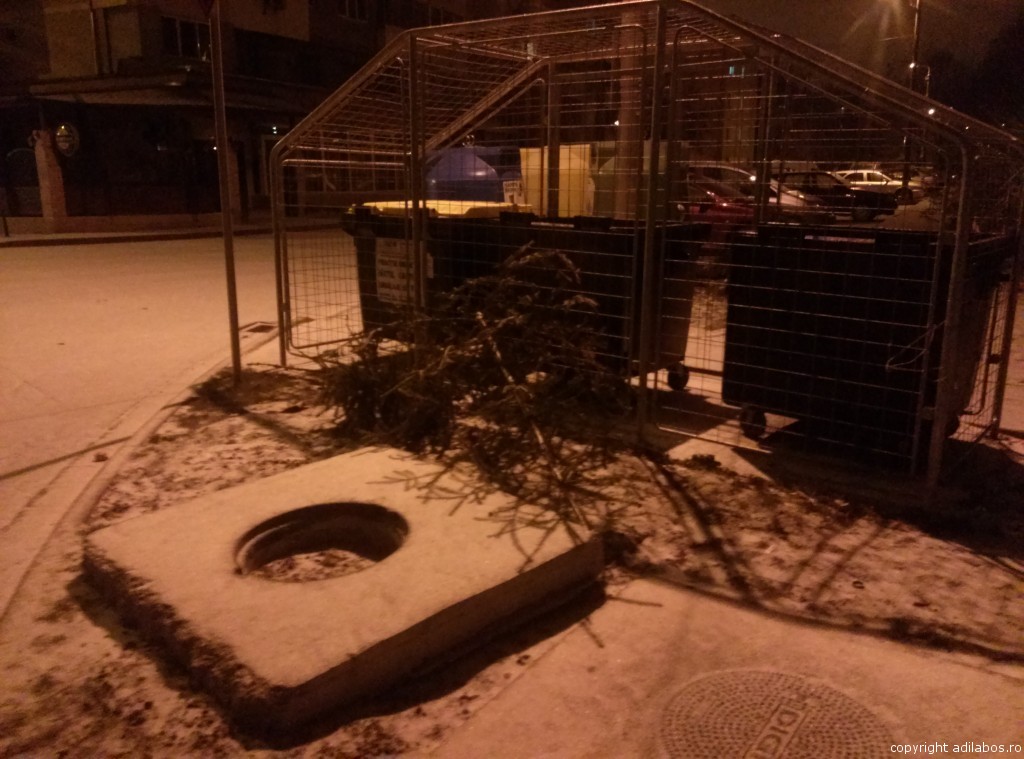 ninge pe 2 ianuarie 2015 (4)