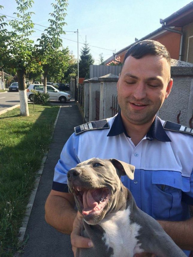 agentul şef adjunct Bogdan Mutu